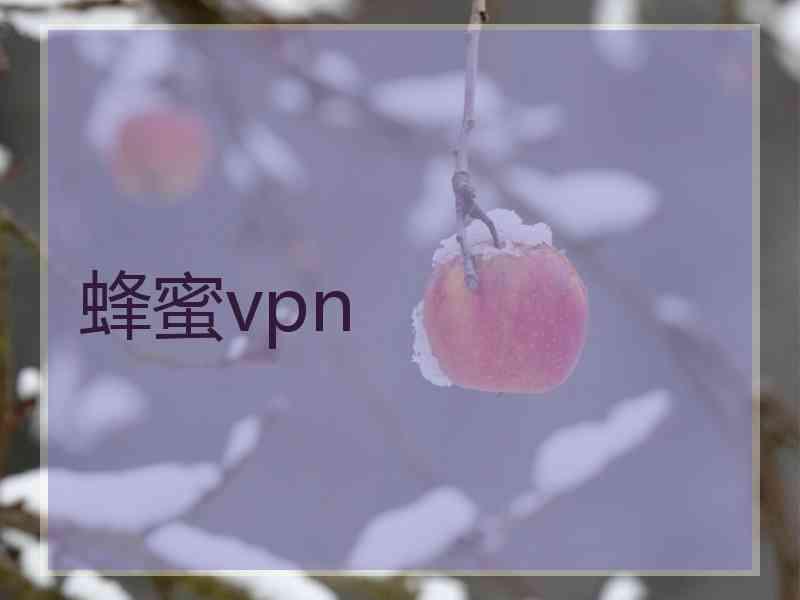 蜂蜜vpn