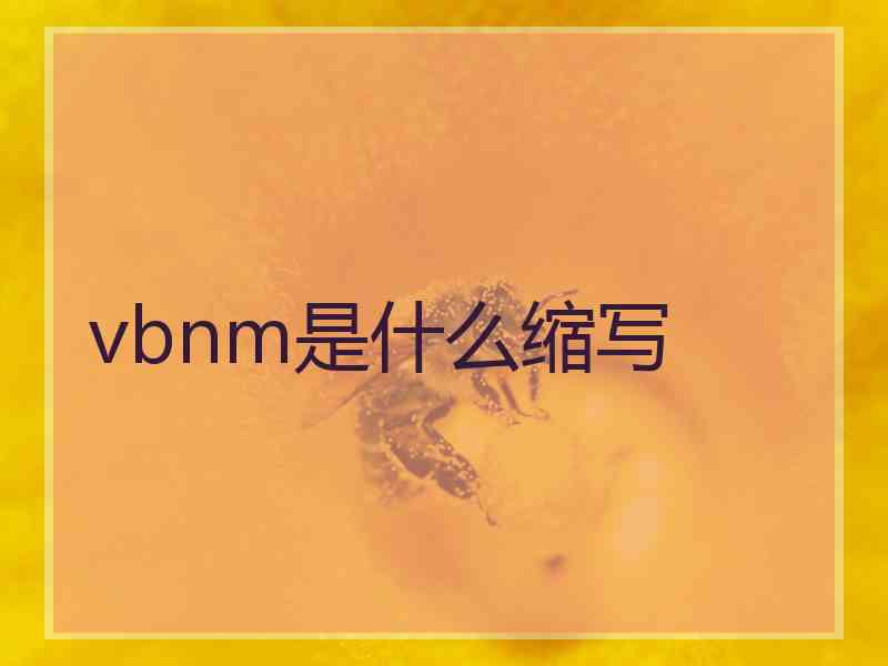 vbnm是什么缩写