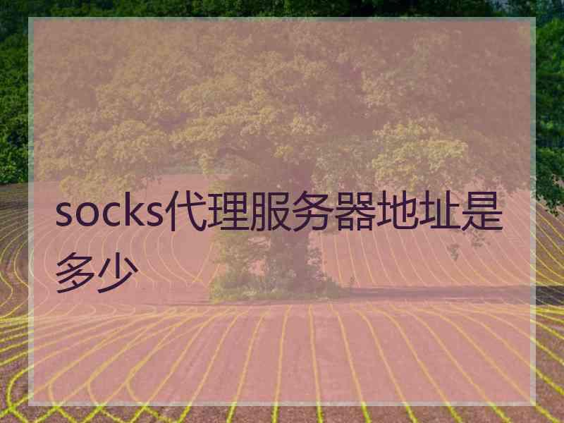 socks代理服务器地址是多少