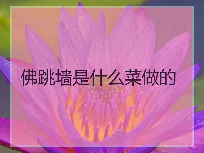 佛跳墙是什么菜做的