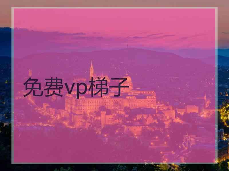 免费vp梯子