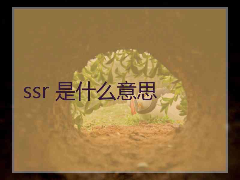 ssr 是什么意思