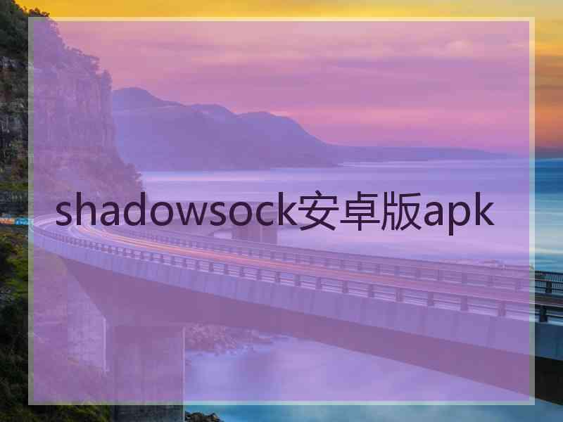 shadowsock安卓版apk