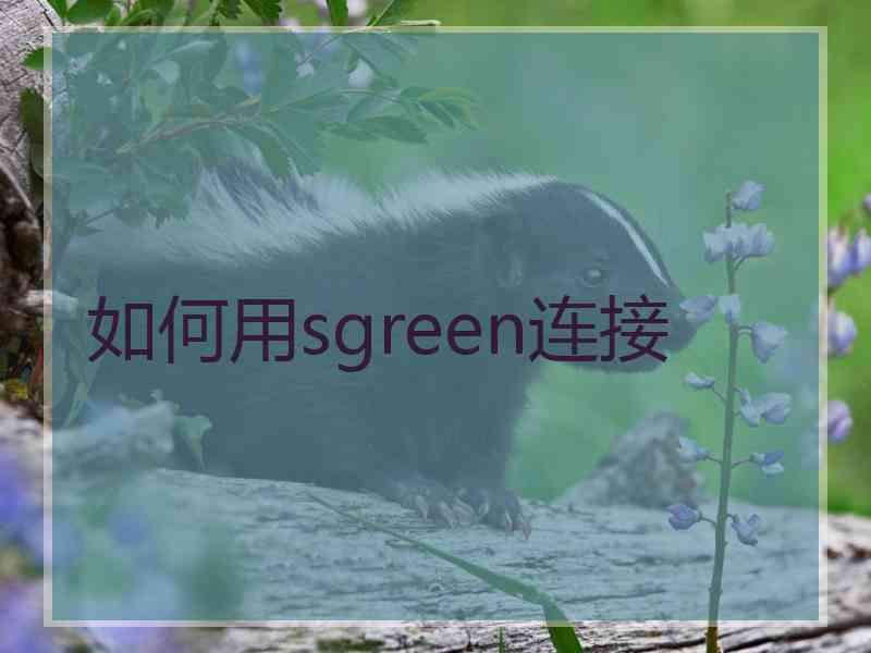 如何用sgreen连接