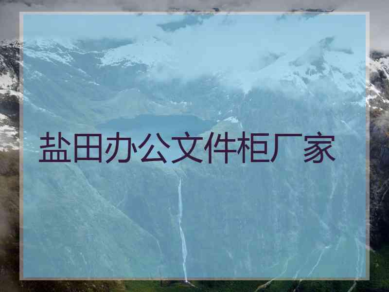 盐田办公文件柜厂家