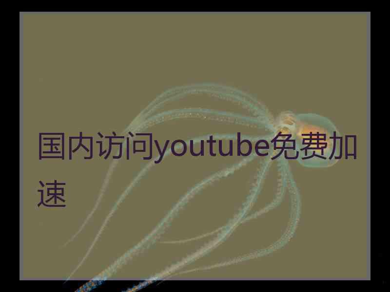 国内访问youtube免费加速