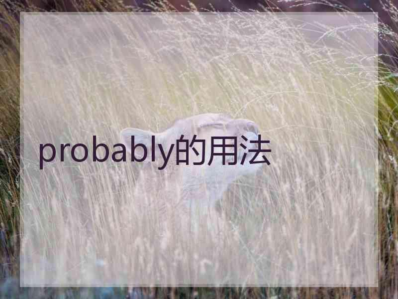 probably的用法