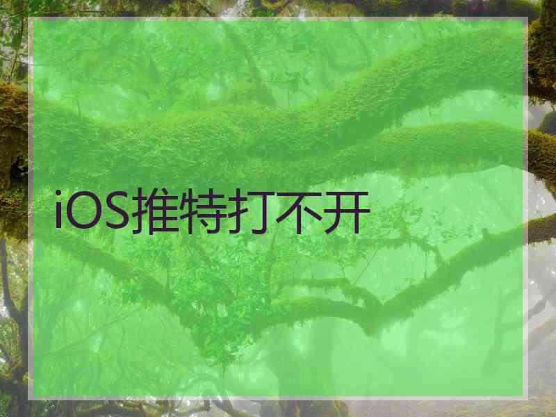 iOS推特打不开