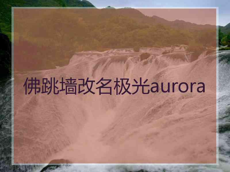 佛跳墙改名极光aurora