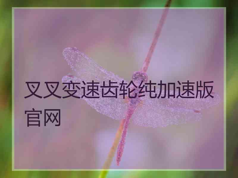 叉叉变速齿轮纯加速版官网