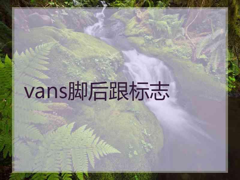 vans脚后跟标志