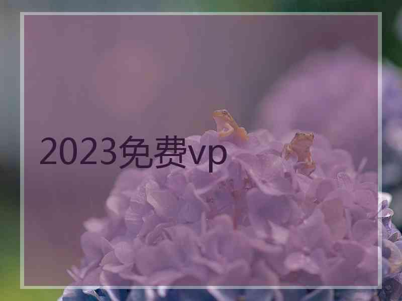 2023免费vp