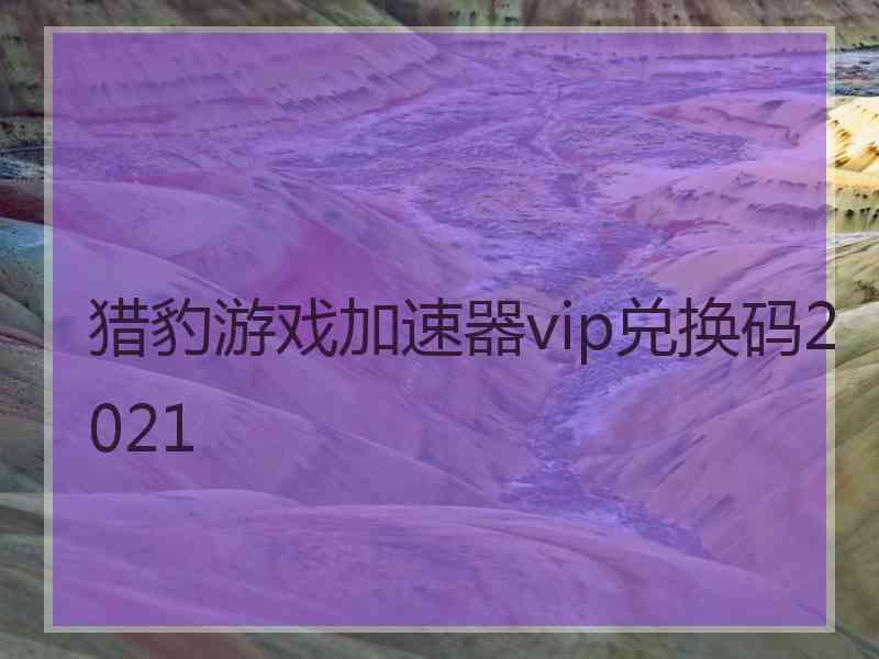 猎豹游戏加速器vip兑换码2021