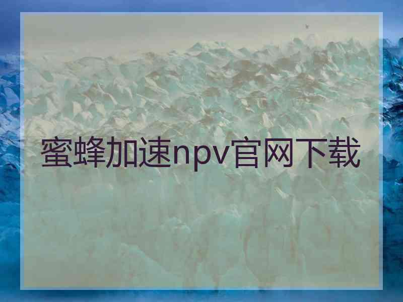 蜜蜂加速npv官网下载