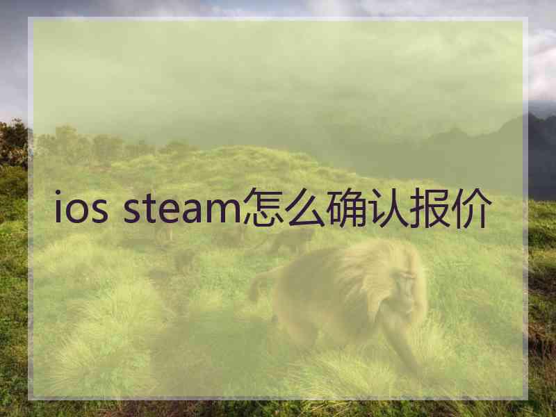 ios steam怎么确认报价