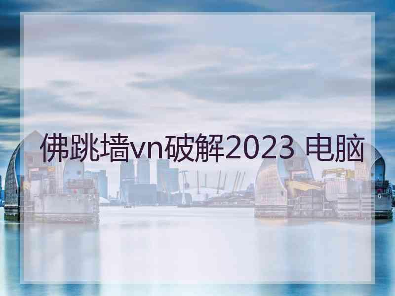 佛跳墙vn破解2023 电脑