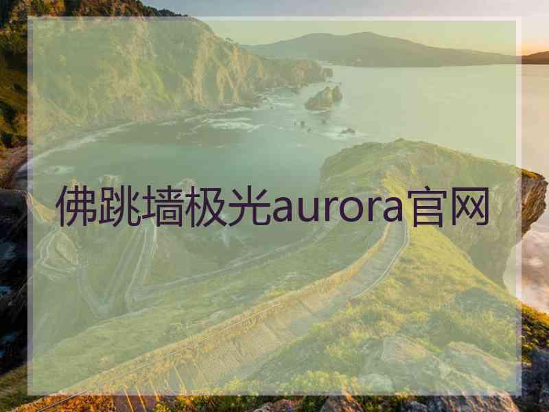 佛跳墙极光aurora官网