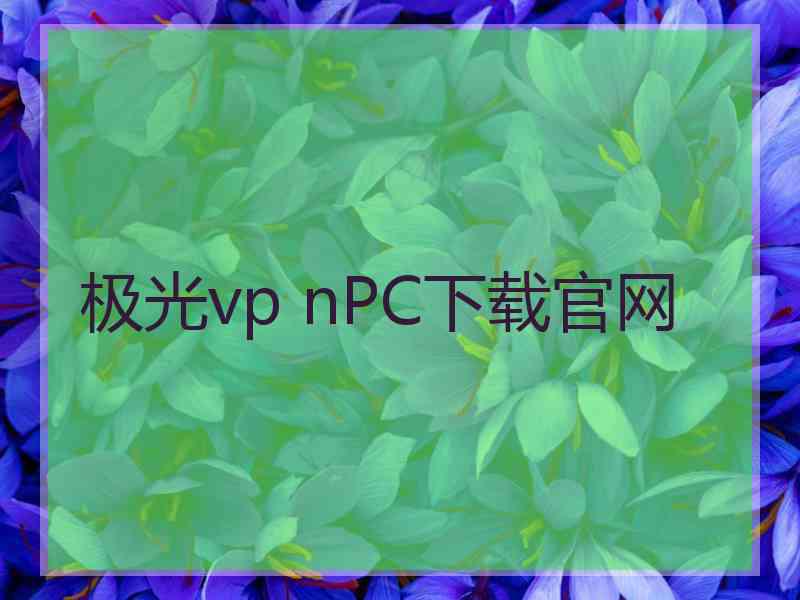 极光vp nPC下载官网