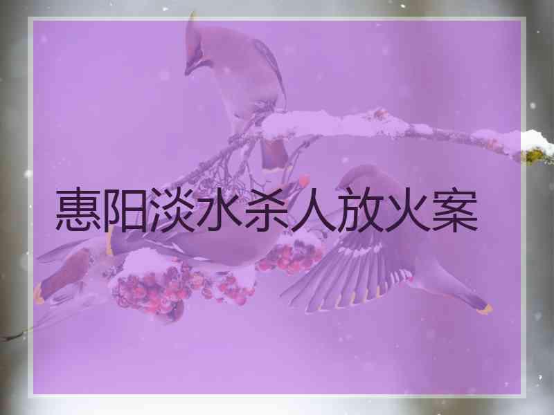 惠阳淡水杀人放火案