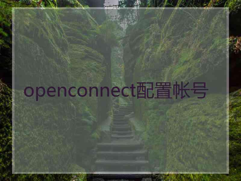 openconnect配置帐号