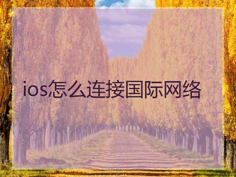 ios怎么连接国际网络