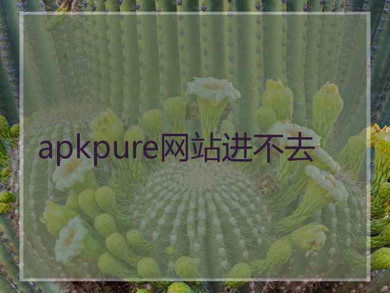 apkpure网站进不去