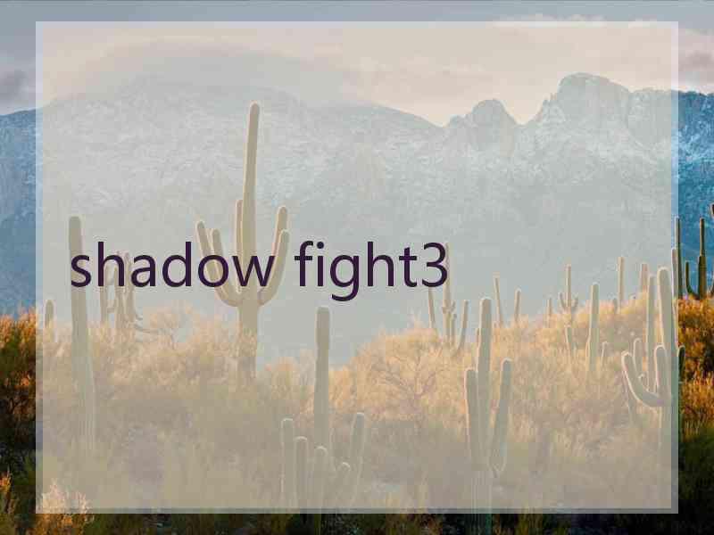 shadow fight3