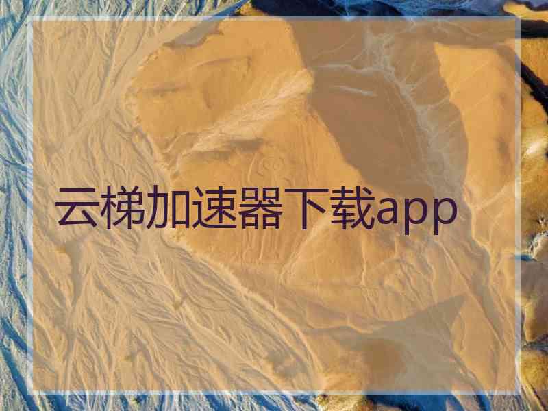 云梯加速器下载app