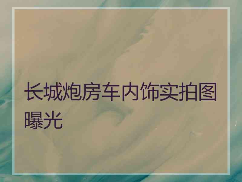 长城炮房车内饰实拍图曝光