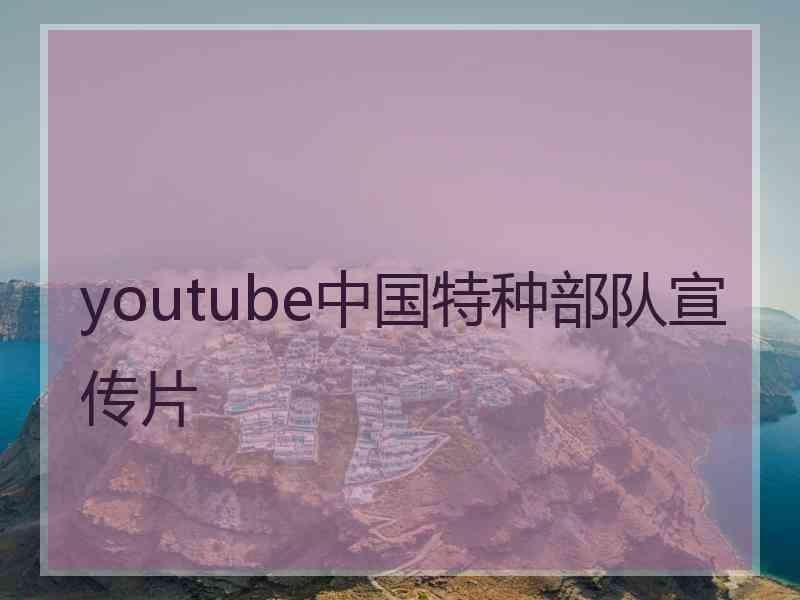 youtube中国特种部队宣传片