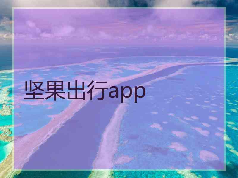 坚果出行app