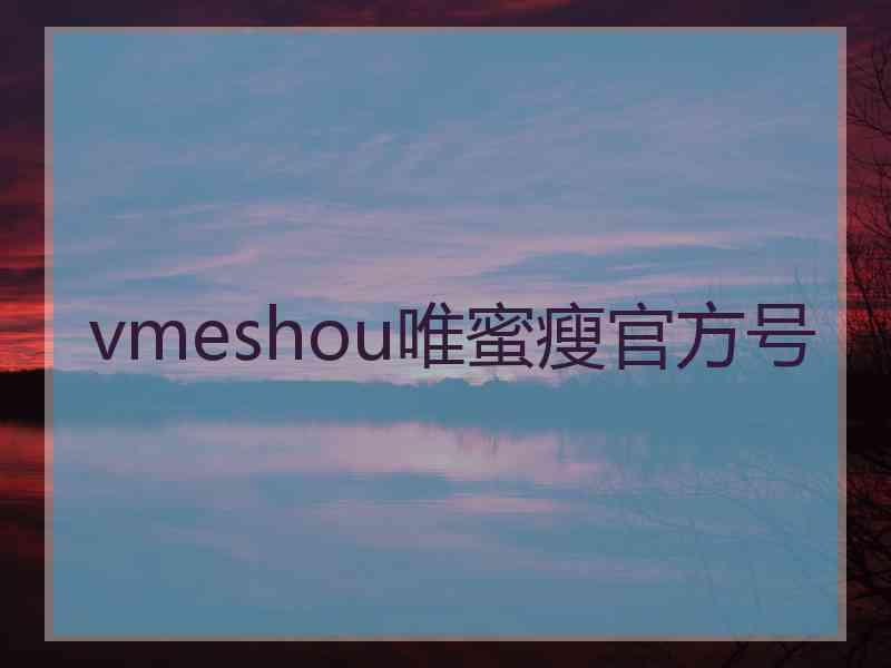 vmeshou唯蜜瘦官方号