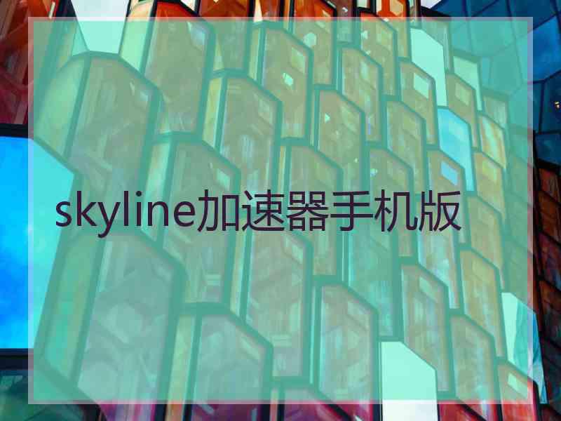 skyline加速器手机版