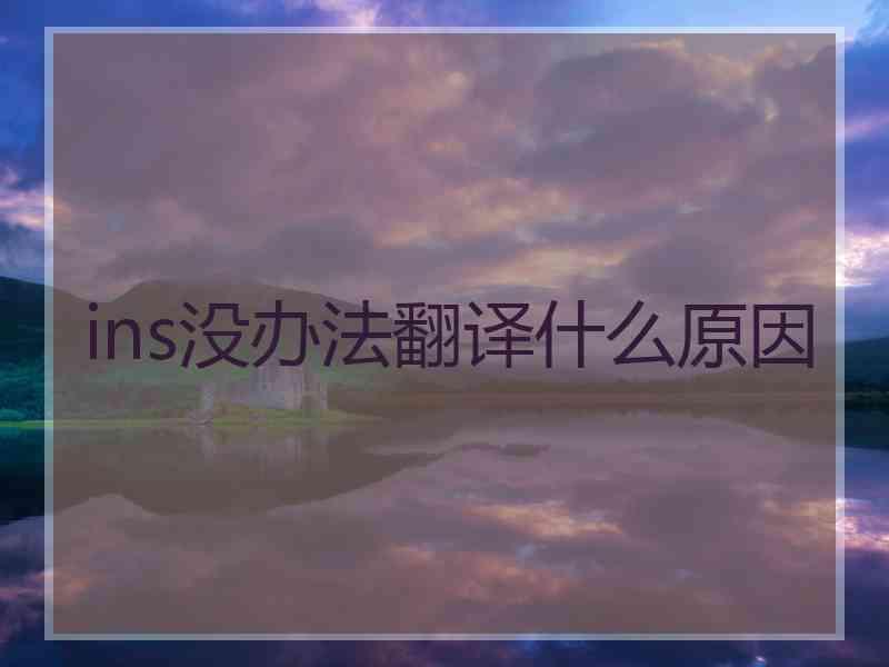 ins没办法翻译什么原因