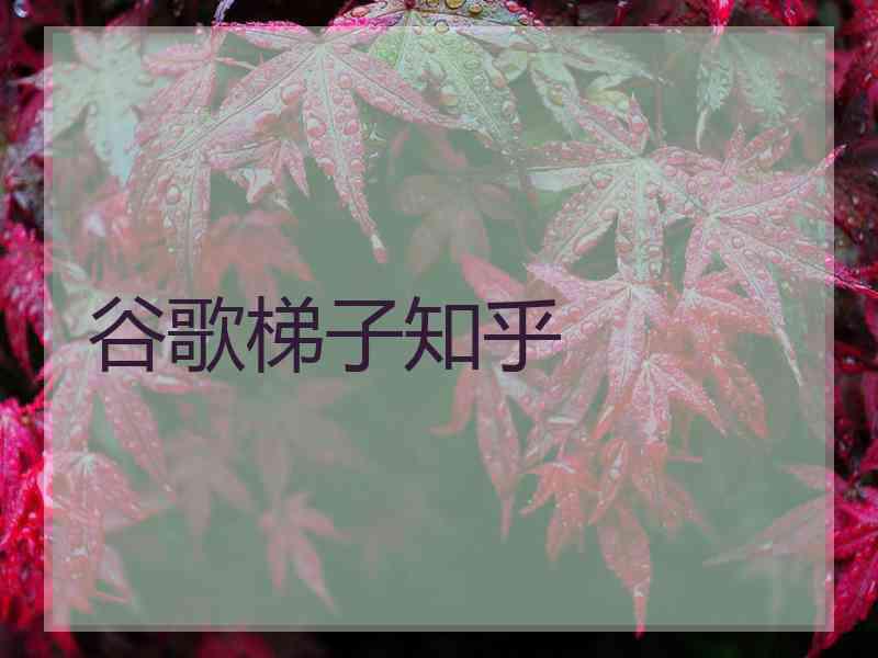 谷歌梯子知乎