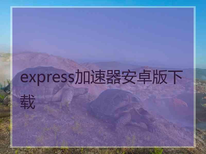 express加速器安卓版下载