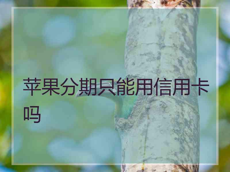 苹果分期只能用信用卡吗