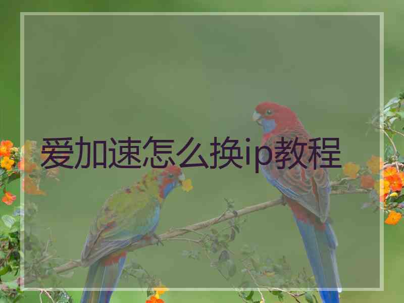 爱加速怎么换ip教程