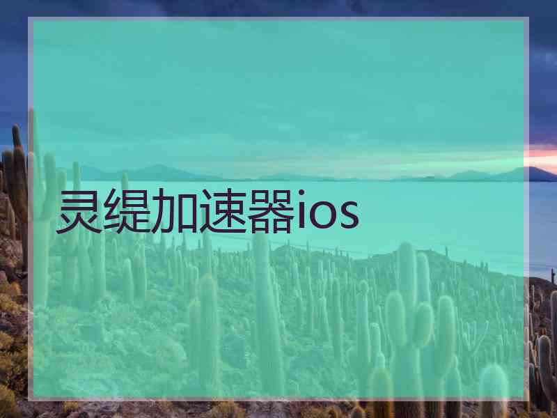 灵缇加速器ios