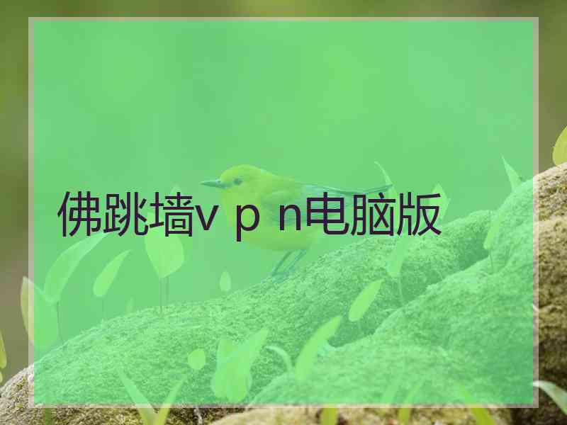 佛跳墙v p n电脑版