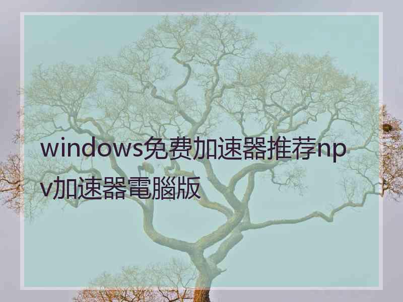 windows免费加速器推荐npv加速器電腦版