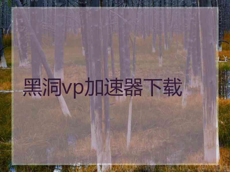 黑洞vp加速器下载