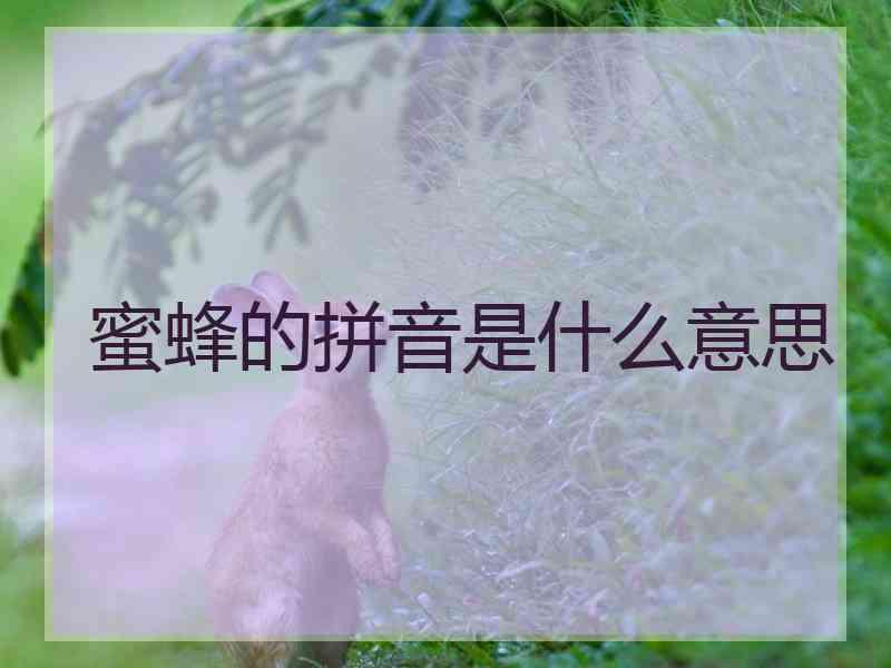 蜜蜂的拼音是什么意思