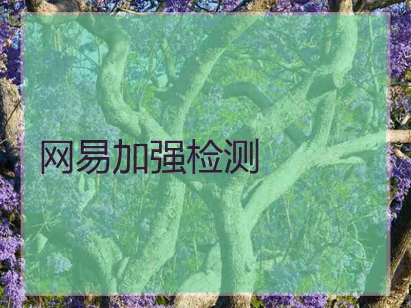 网易加强检测