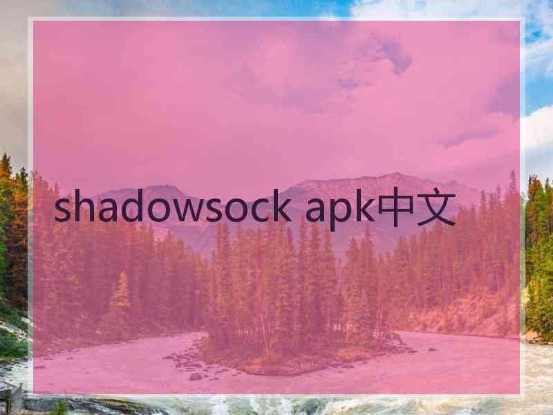 shadowsock apk中文