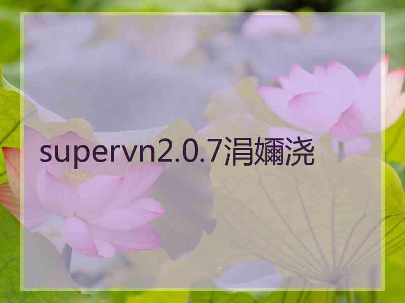 supervn2.0.7涓嬭浇