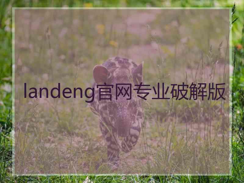 landeng官网专业破解版