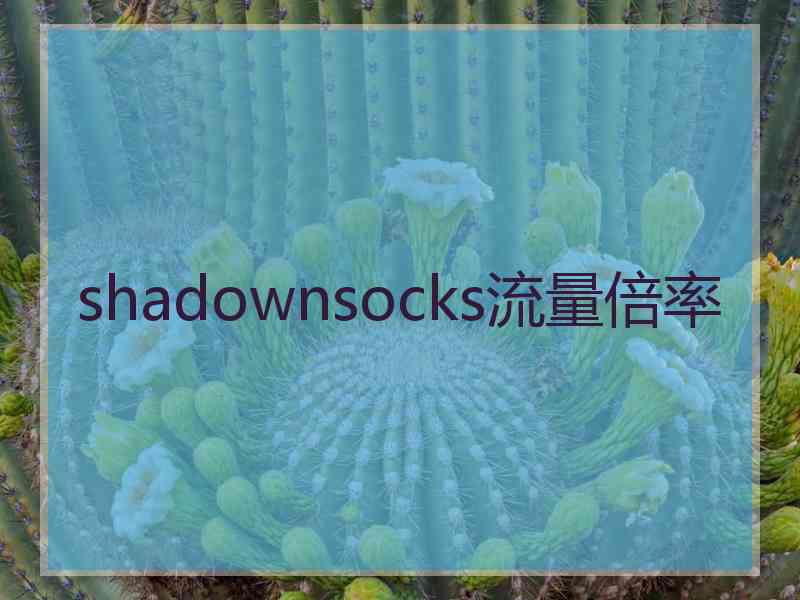 shadownsocks流量倍率