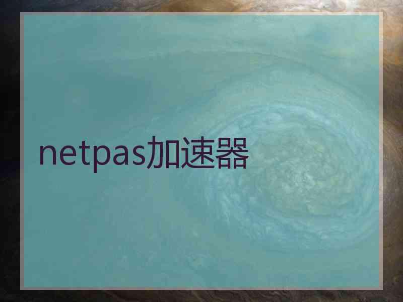 netpas加速器