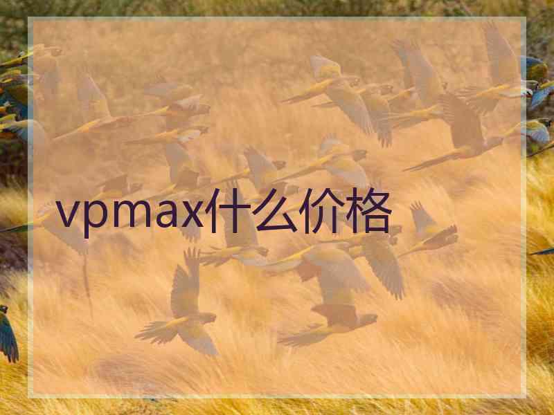 vpmax什么价格